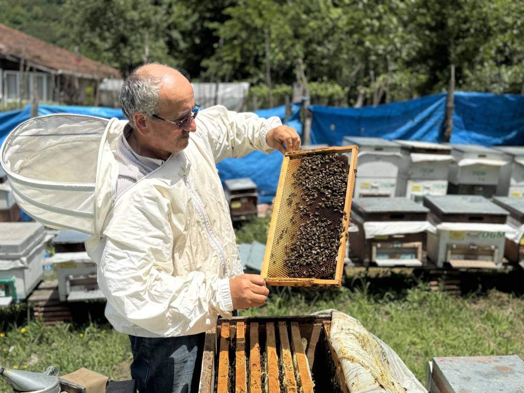 Öyle tatlı ki! Hasadı gelmeden sipariş yağmuru geliyor 6